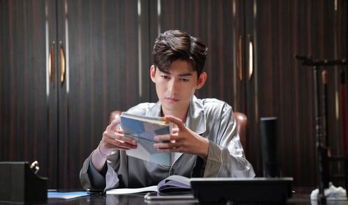 张翰工作室发声明辟谣 否认自制APP付费观新剧